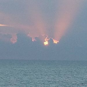 Meet your Posher, Jeremy brandee